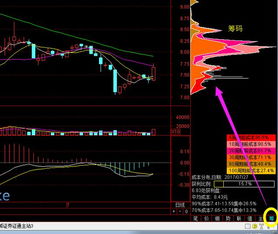 怎么样能看到筹码密集区用什么指标