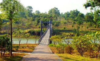 全国最大的湿地公园就在<a href='http://www.tootour.com/around/index-29.html'>深圳</a> 赏花 看鸟 采摘,回归真正田园生活