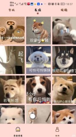 汉克狗app下载 汉克狗最新版下载 去秀手游网 