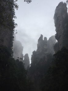 张家界之雨天VS晴天 凤凰的白天VS黑夜 难忘的湖南五人行 