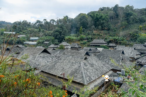 错过了翁丁,云南还有这些原生态少数民族寨子值得打卡,古朴安宁