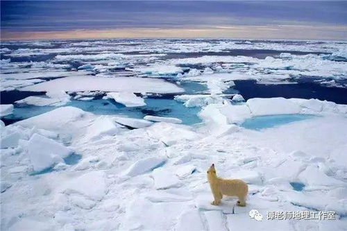 北半球最冷的地方,在哪里 作为地球的两极,到底是南极冷还是北极冷 附南极的12个 冷 知识