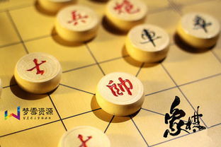 中国象棋视频教程大全 入门基础 布局进阶 残局破解 经典赛事 