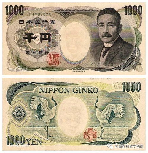 日元面额有几种(日元都有多大面值)
