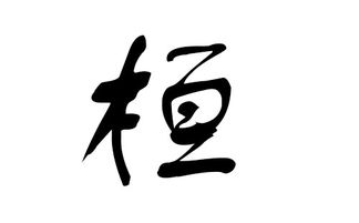 猪年桓姓宝宝起名字