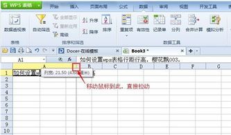 wps里excel怎么设置表格大小