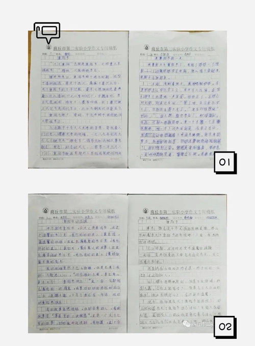 敬老爱老的作文(孝亲敬老作文600字)