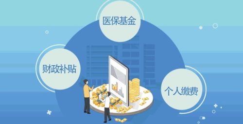 公司说给我交三金,是指哪三金呢 