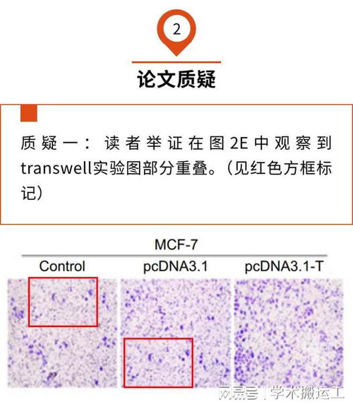 大学第一学期论文会查重吗