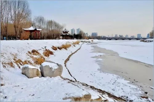 又要下雪 7天5场 明天起,太原2020年第一波降雪来了