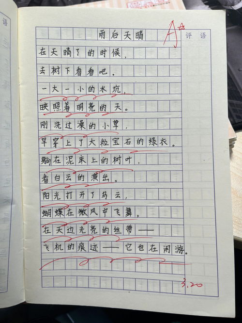 写物的小练笔150字初一？