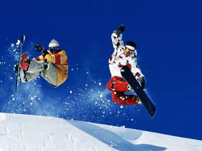 寒战2 上映 除了看电影我好想去新西兰滑雪感受真正的寒颤
