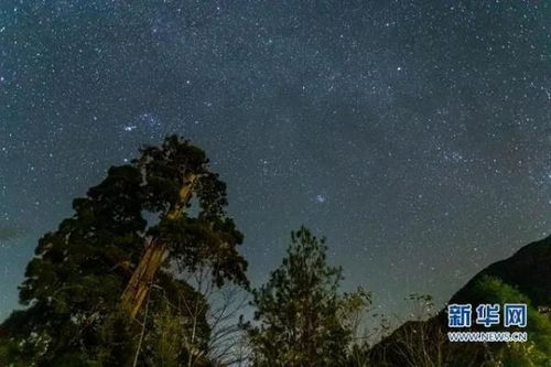 就在明天 每小时流星数最多150颗,双子座流星雨来了