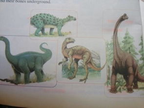 恐龙生存的证据有哪些，恐龙是怎样生存的? 