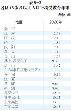 维普查重官网下载 维普查重绿色版 1.0 极光下载站 