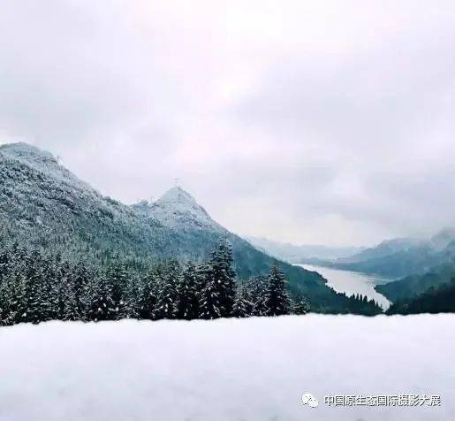 冬游贵州 等到下雪天就该去梅花山 浪