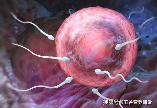 女主变美后身体会软:老婆老是把精子吃下去