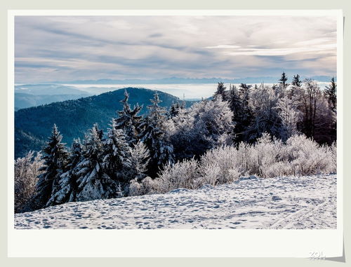 登山观雪