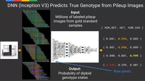 谷歌AI进军基因测序领域 人工智能时代一定是必然吗 