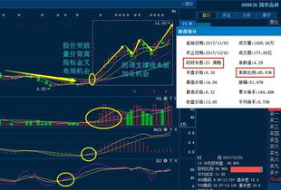 st股票和*st股票有什么区别，都是什么意思？