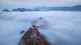 翻江倒海指12生肖哪一个动物