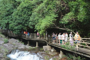 清明小长假梁野山景区旅游呈火爆增长态势