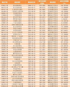 团队里的基金到底什么意思啊？