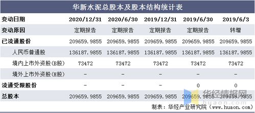 holchin b.v.什么意思