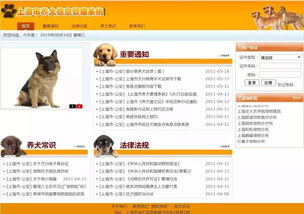 牵好你的狗 上海推出养犬信用积分制,将纳入征信体系