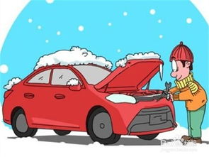 冬季开车需要注意什么 
