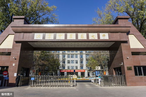 北京有哪些中医大学排名