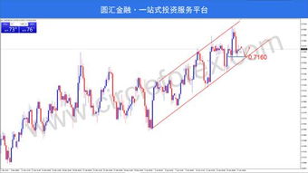 CFX圆汇怎么样