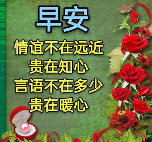 2月7日早上好祝福经典语录 晚上好表情图 早上好表情包