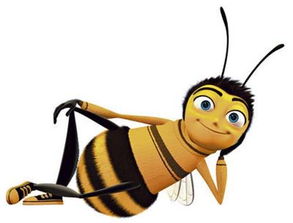 小王有知识151114 13个关于蜜蜂的知识,被螫一下对身体好处多多