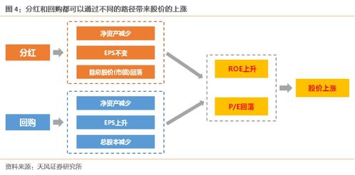 什么是股东财富？