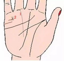 金星丘掌纹,手纹相上各大星丘代表了些什么 手掌八大星丘代表的含义解析？