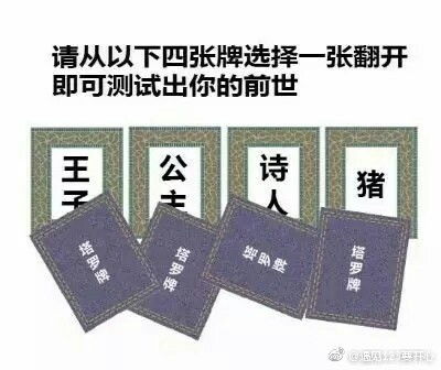 表情 微信塔罗牌猪表情包下载 前世塔罗牌猪套图下载 腾牛下载 表情 