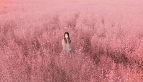 旅游区迁西雨花谷