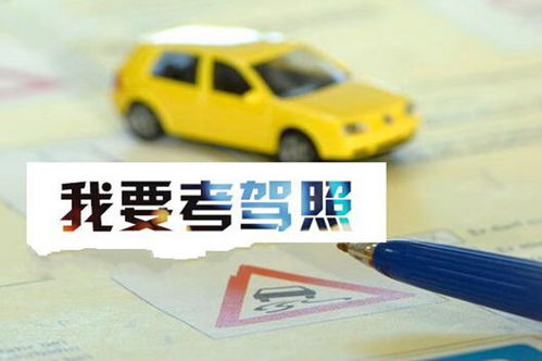 厦门首创驾校联合体 在1家驾校报名,可以在6家练车