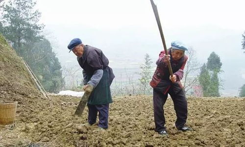 4月起,农村7类人将有苦吃,村村都有,但愿没有你 家庭 