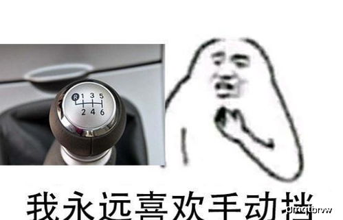 纵使自动挡有千般好, 也不及我最爱的手动挡一丝