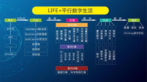 你以为睿阳只是一个软件开发公司 还有你想不到的