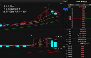 豫光金铅今后走势如何