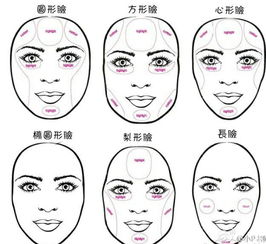 不同脸型,修容时的高光区域分析图