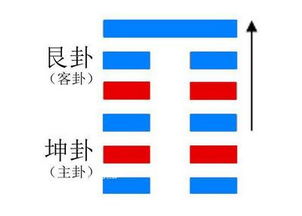 易经六十四卦,六十四卦中履卦解读 学术职业 