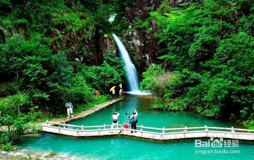 夏天去哪里旅游比较好中国十大避暑旅游城市 