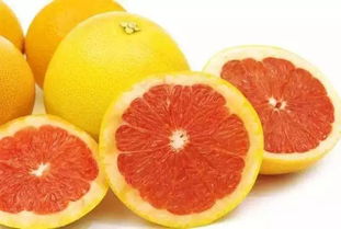 葡萄柚是什么水果