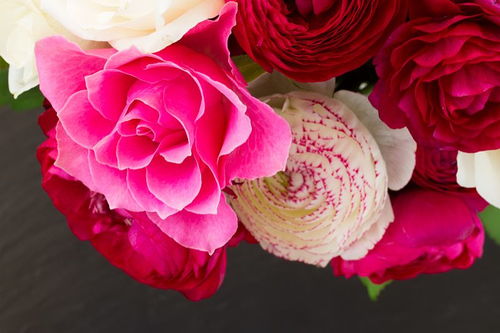 粉色菊花的花语是什么,粉色玫瑰百合菊花的含义是什么？