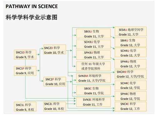 高中选课分析(高中选课分析报告范文)