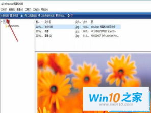 win10为什么扫描不了怎么回事